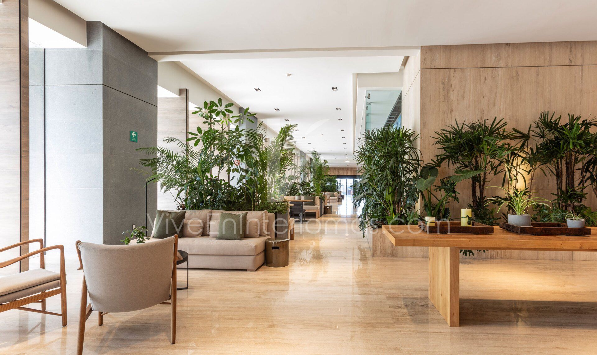 lobby manigua interlomas