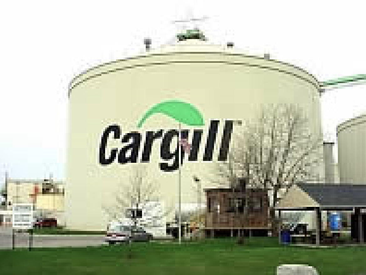 Cargill Manufacturing Plant Project