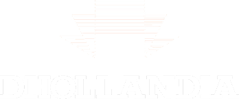Dhollandia logo