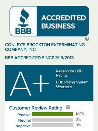 BBB BBB