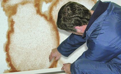 inspecting a damp wall