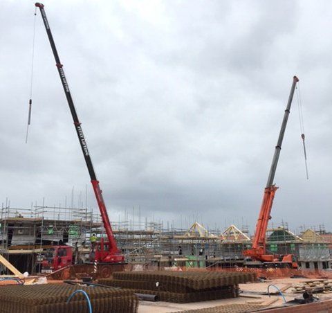 Large sized cranes