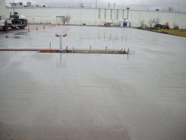 wet concrete