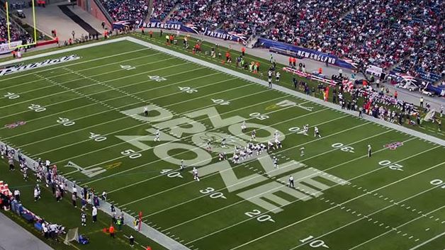 Stadium protection drones