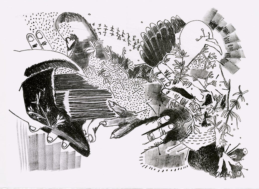Sandra Opitz – Lithographie