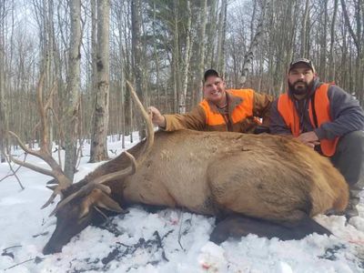 Whitetail deer hunting PA, New York