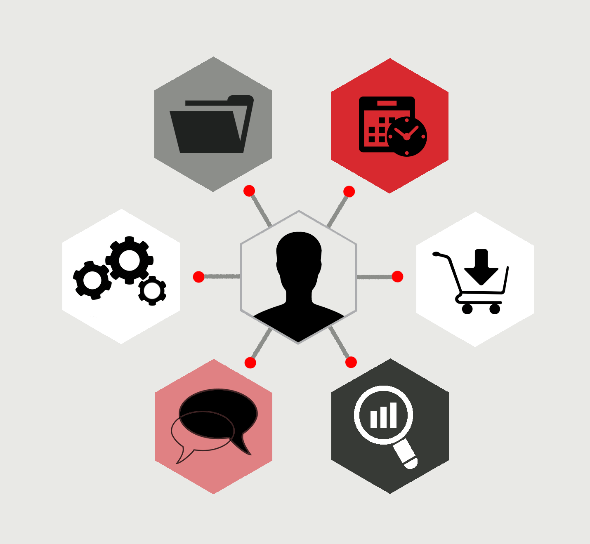 Organisational Review