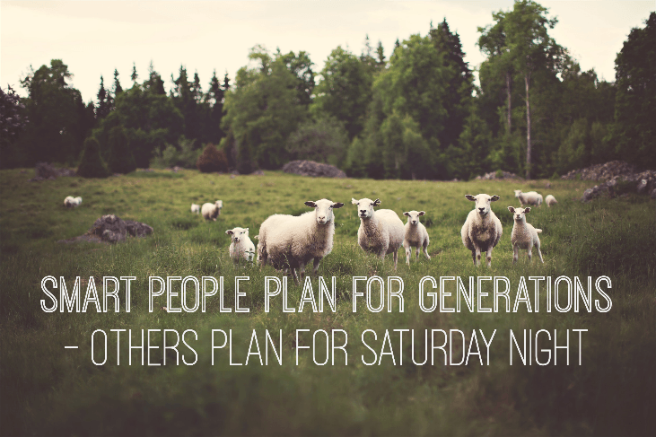 Sheep in field, text reads: