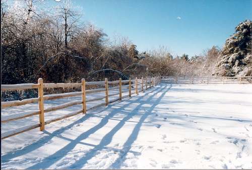 Rail Split Rail —  Fences in Springfield, MA