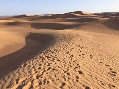 Sand dunes in a desert with rippled sand and clear blue sky