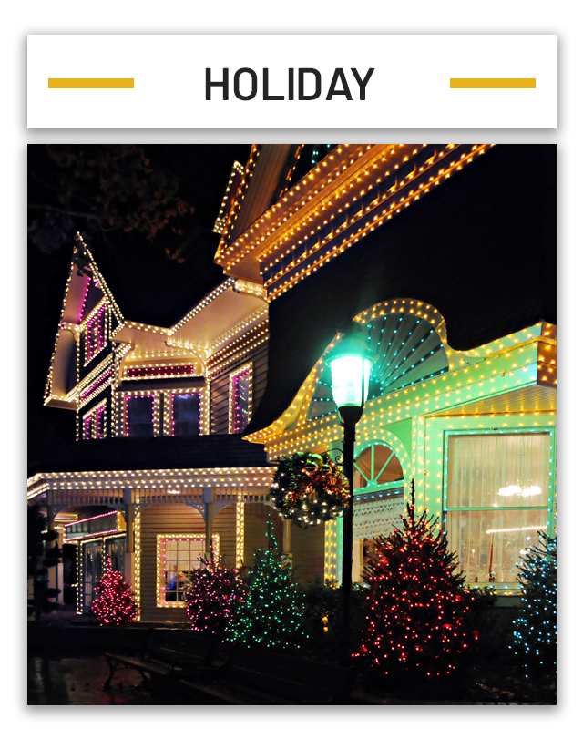Holiday | MC Landscape Lighting - Nassau County, NY