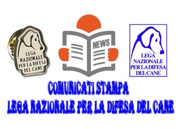 cani smarriti e ritrovati