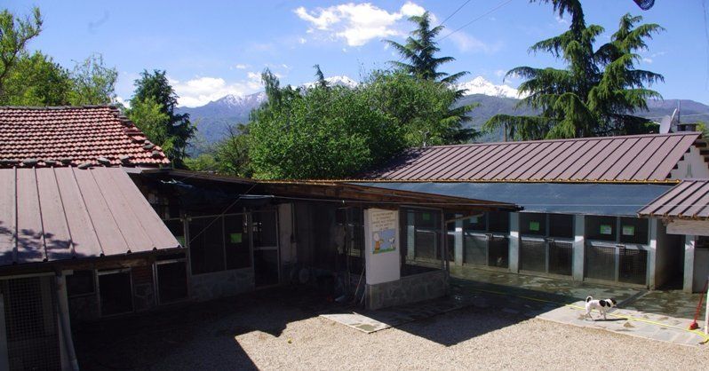 CANILE DI BIBIANA