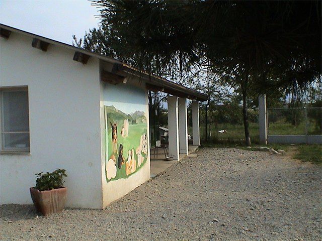 canile bibiana