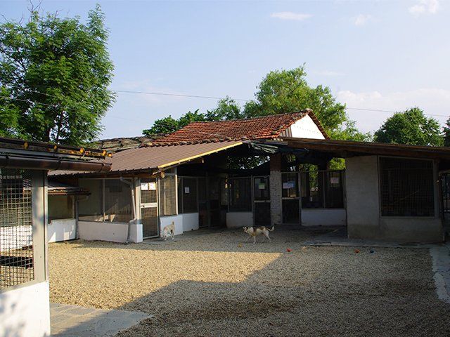 canile bibiana