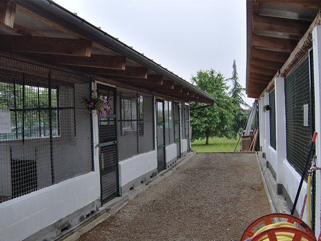 canile bibiana