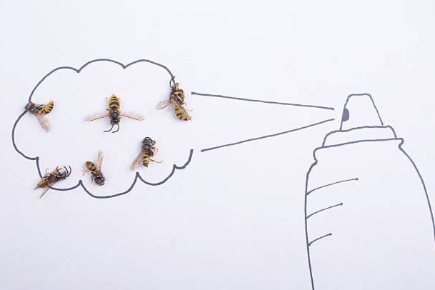 Eliminazione di insetti volanti infestanti