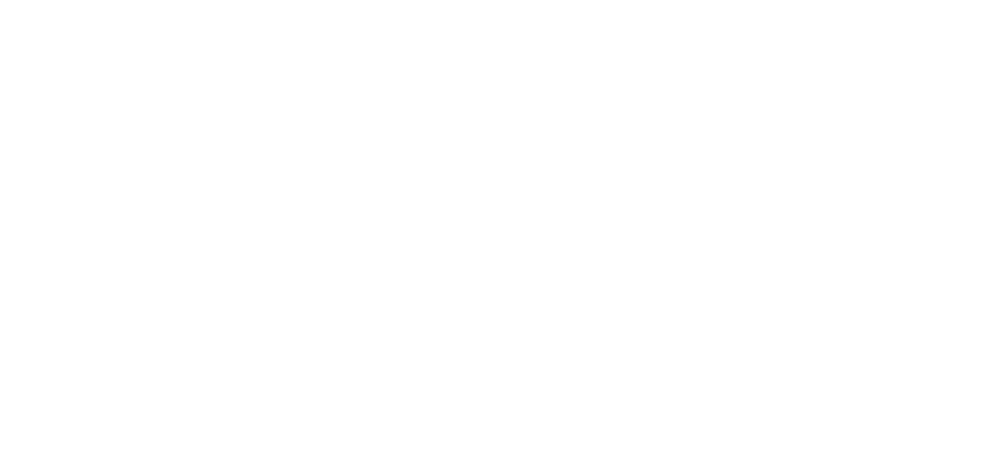 Sotera Investigative Group Logo Footer