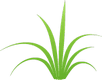 Nature's Rain Horticultural Services Nature's Rain Horticultural Services