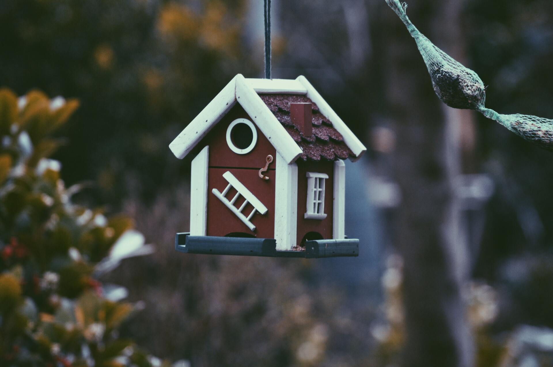 Rood vogelhuisje met witte rand, hangend aan een tak tegen een wazige groen-bruine achtergrond.