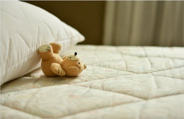 Teddy Bear On Bed — Muncie, IN — American Pest Control Teddy Bear On Bed — Muncie, IN — American Pest Control