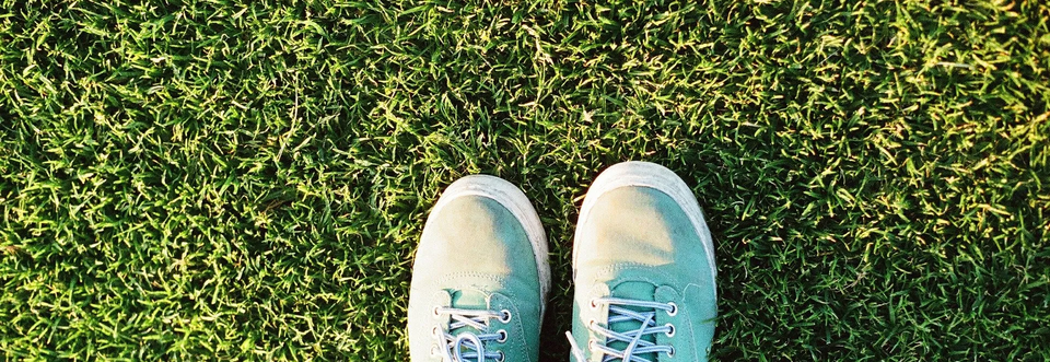 Shoes And Lawn — Muncie, IN — American Pest Control Shoes And Lawn — Muncie, IN — American Pest Control