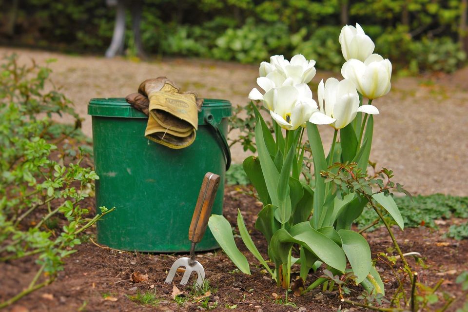 Gardening Tools And Flowers — Muncie, IN — American Pest Control