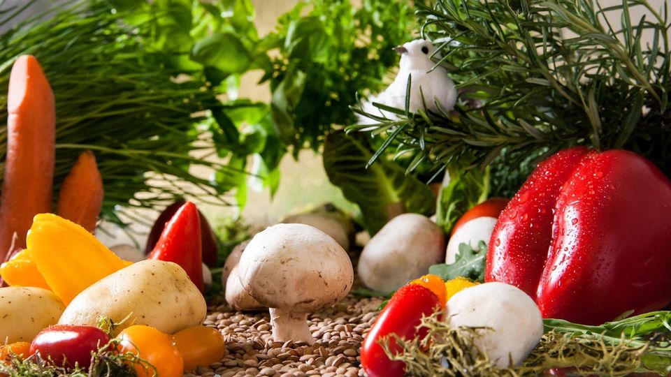 Different Kind Of Vegetables — Muncie, IN — American Pest Control Different Kind Of Vegetables — Muncie, IN — American Pest Control