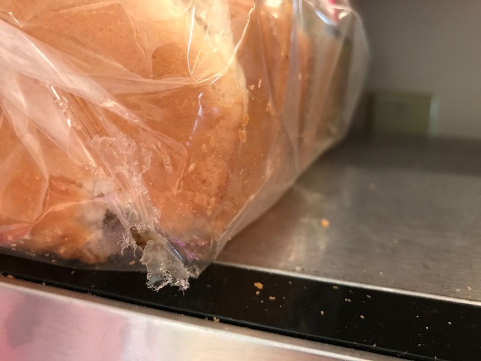 Pest On Bread — Muncie, IN — American Pest Control Pest On Bread — Muncie, IN — American Pest Control
