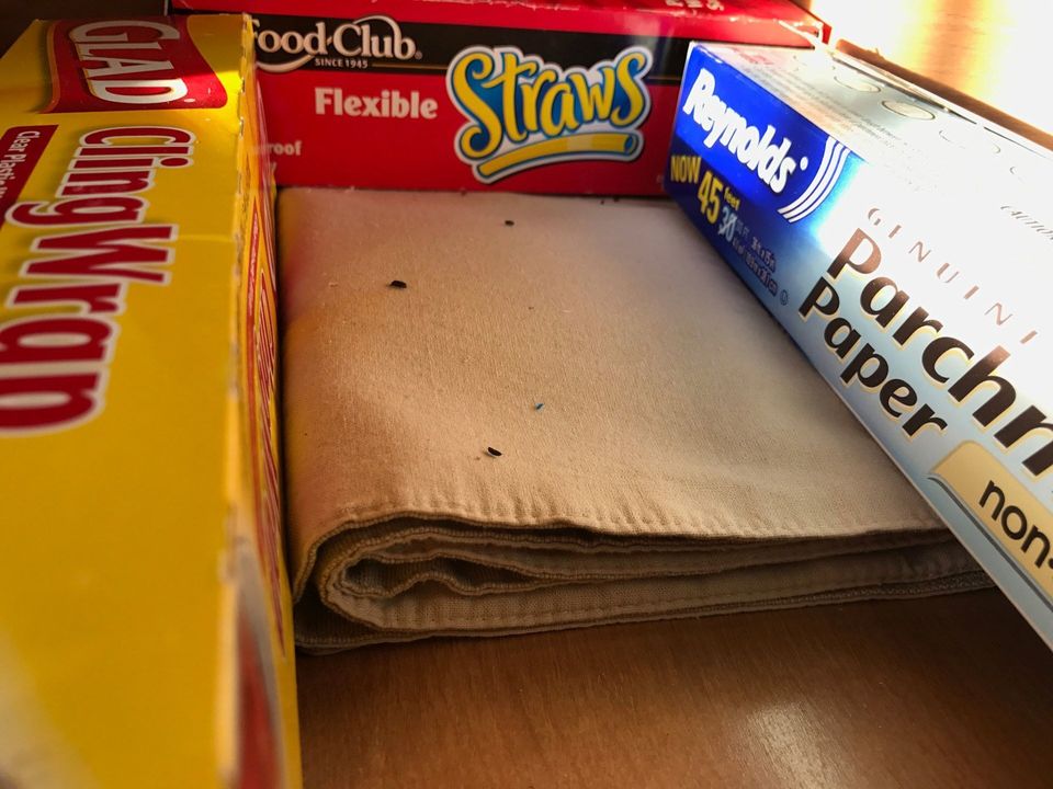 Pest On Plastic Wrap Shelf — Muncie, IN — American Pest Control Pest On Plastic Wrap Shelf — Muncie, IN — American Pest Control