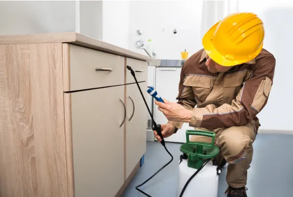 Spraying Pesticide In Kitchen — Muncie, IN — American Pest Control Spraying Pesticide In Kitchen — Muncie, IN — American Pest Control