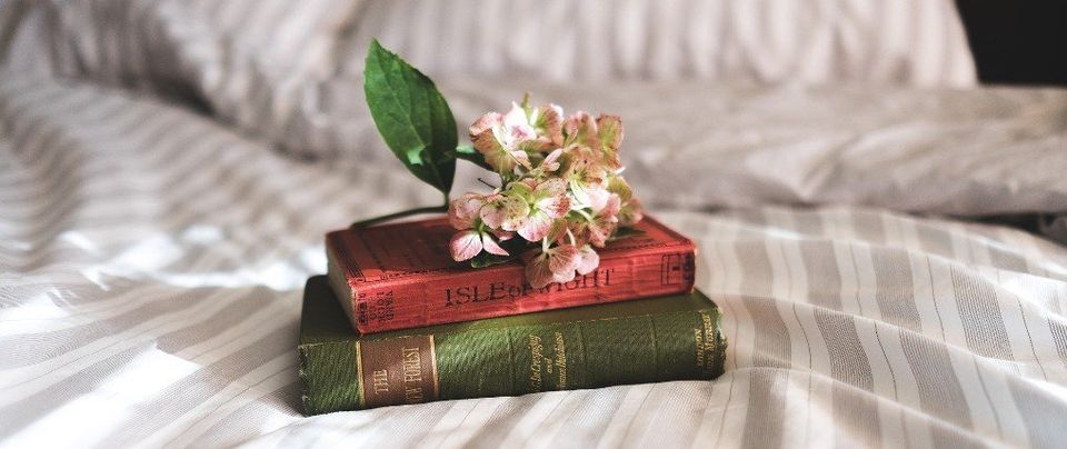 Books On Bed — Muncie, IN — American Pest Control Books On Bed — Muncie, IN — American Pest Control