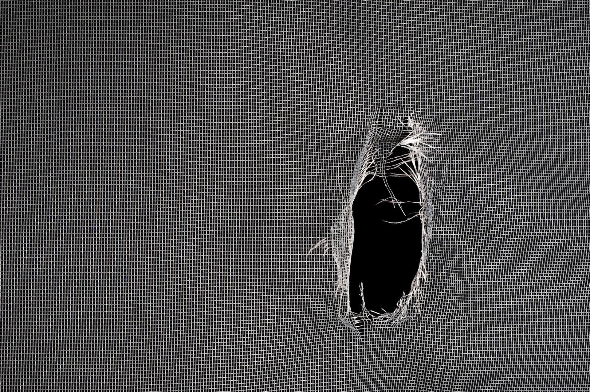 Torn Window Screen - Window Screen Repair in Byron Center, MI