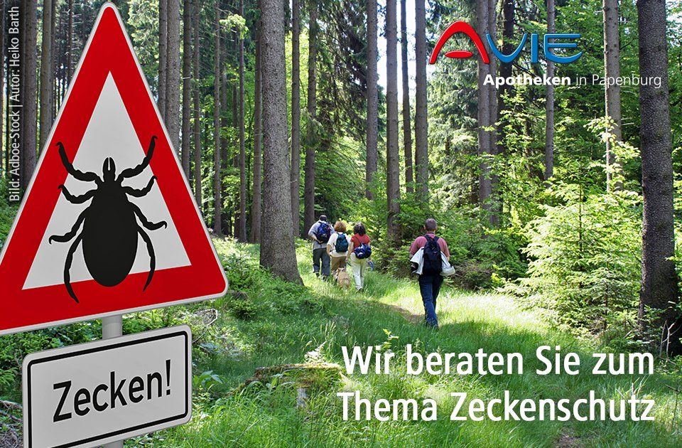Eine Gruppe von Menschen, die mit einem Schild mit der Aufschrift „Zecken“ durch einen Wald gehen