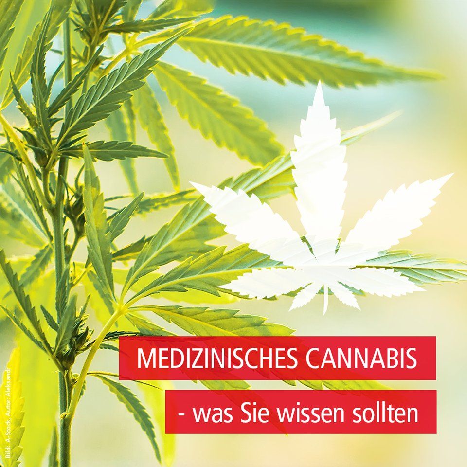 Cannabispflanzen, Text: Medizinisches Cannabis