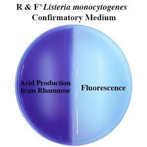 A blue and purple circle with the words confirmatory medium on it