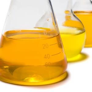 Three beakers filled with yellow liquid are sitting on a table.