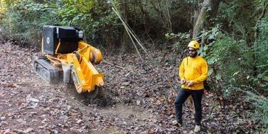 Man Cleaning By Storm Damage — Atlanta, GA — Yellow Ribbon Tree Experts