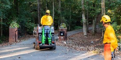 Two Workers After Logging Trees — Atlanta, GA — Yellow Ribbon Tree Experts