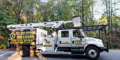Tree Expert Service Truck — Atlanta, GA — Yellow Ribbon Tree Experts