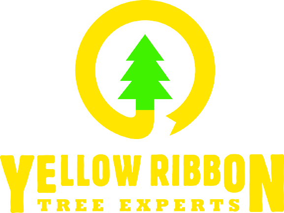 Yellow Ribbon Tree Experts Yellow Ribbon Tree Experts