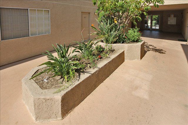 plants on walkway