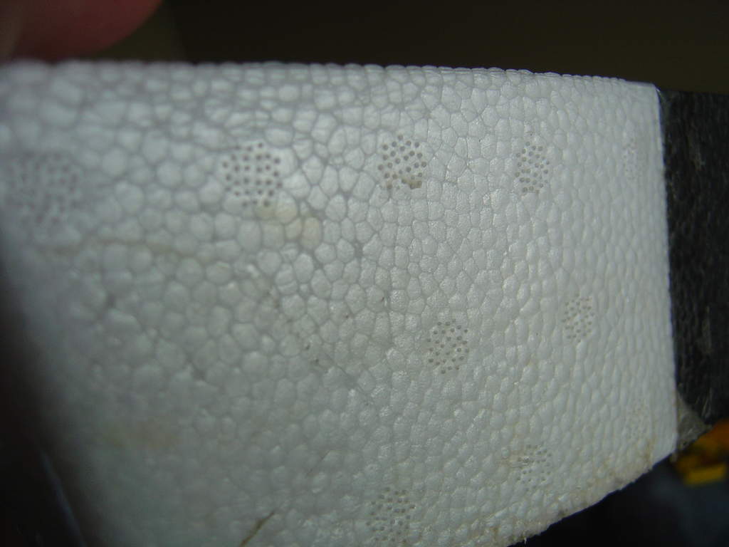 EPP Foam