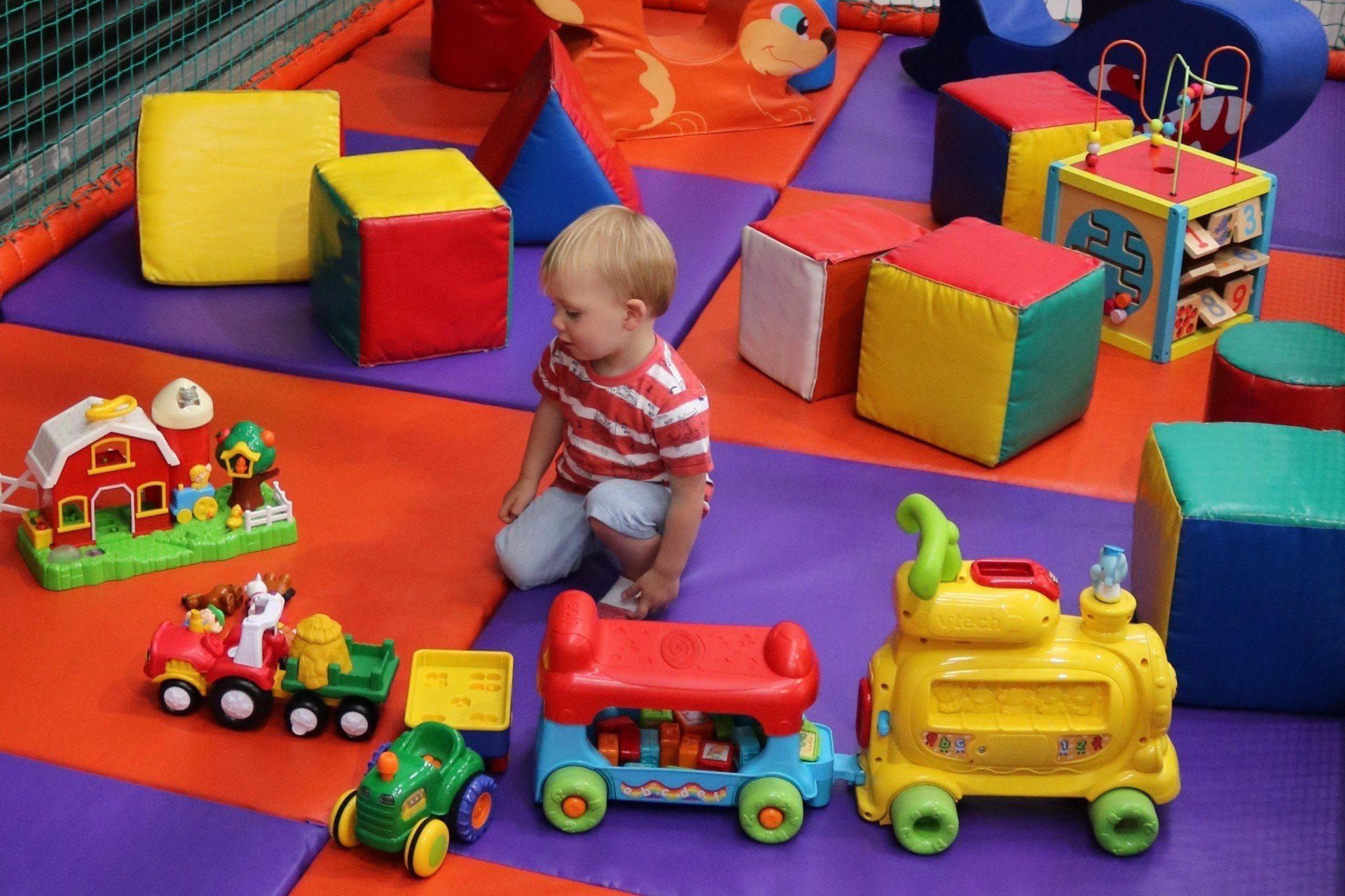 Play time at Laganvale Farm