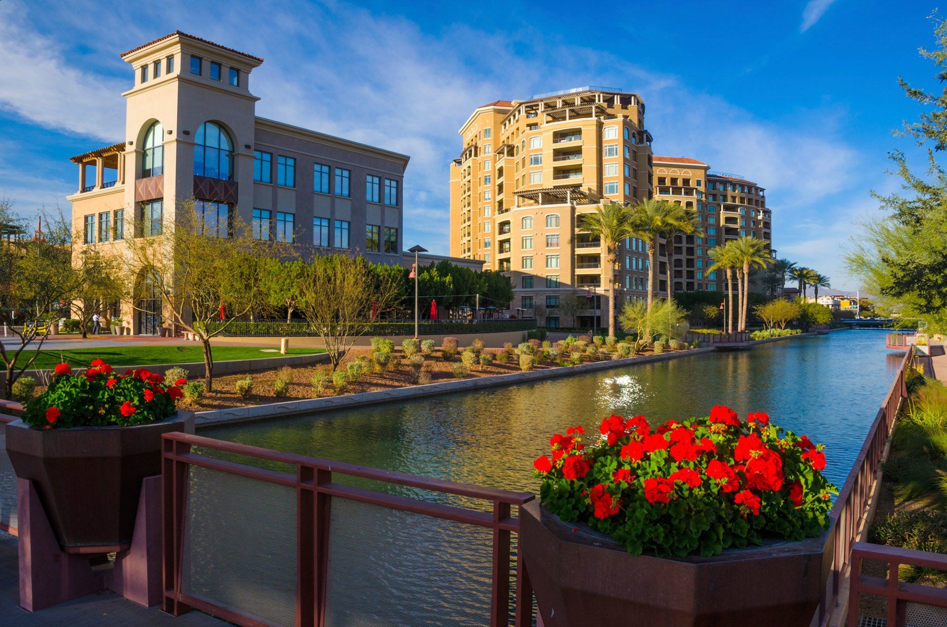 Water canal lined with buildings and palm trees, red flowers in foreground, sunny day.