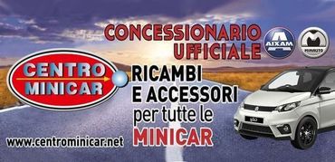 tagliando minicar