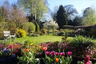 beautiful garden