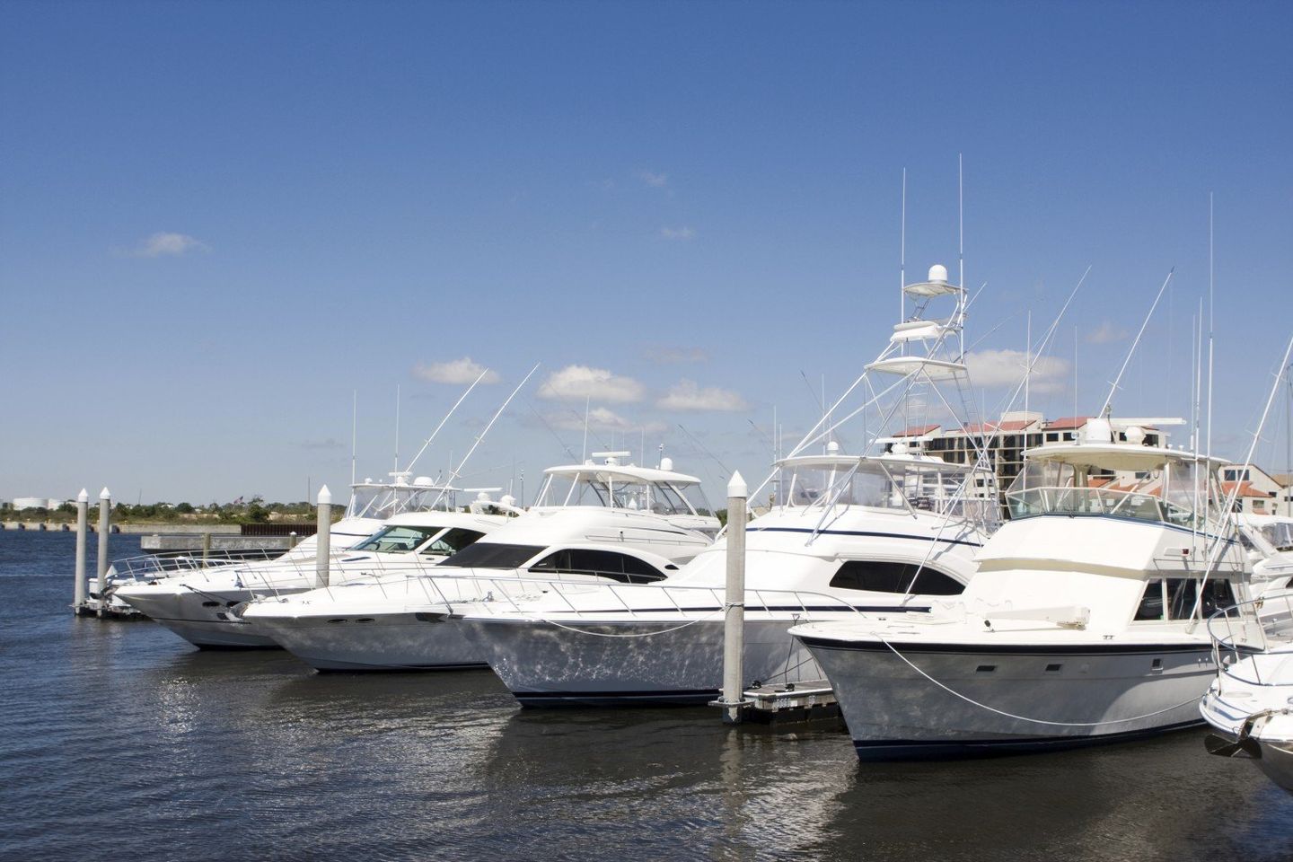 Marina Photo