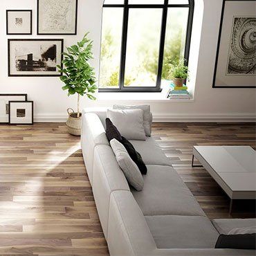 Couch And Different Kinds Of Painting On The Wall — Ypsilanti, MI — Carpet Center & Floors