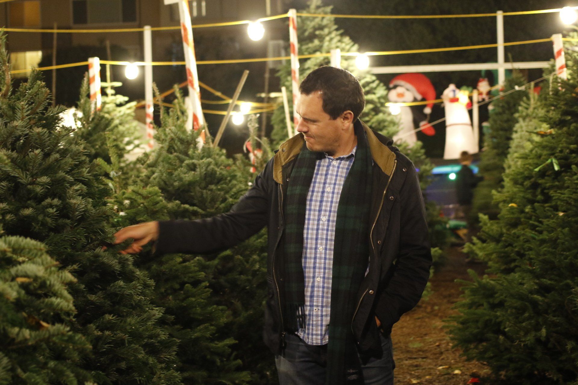 A man is standing in a field of christmas trees